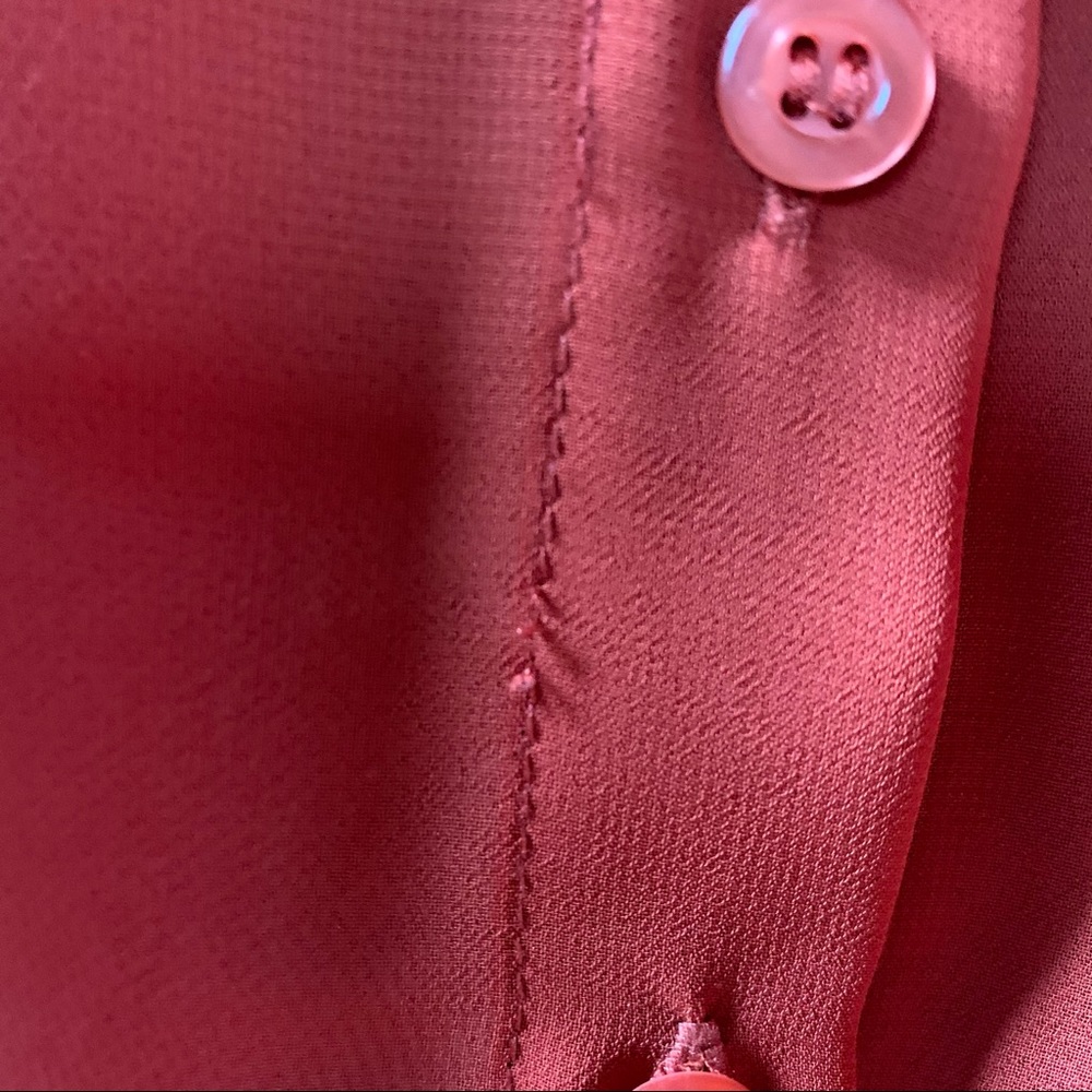 Rust Chiffon Buttoned Sheer Blouse - image 6